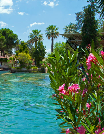 La piscine naturelle