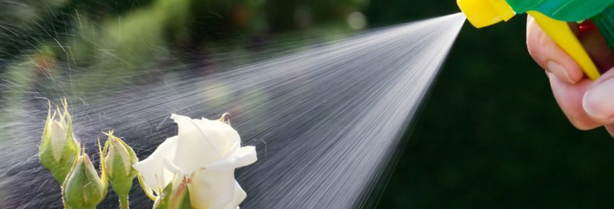 eliminer les nuisible du jardin