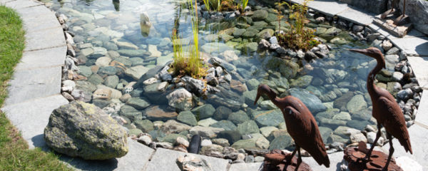 bassin de jardin