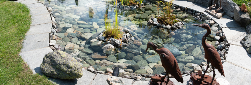 bassin de jardin